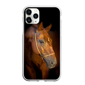 Чехол для iPhone 11 Pro Max матовый с принтом Гнедая лошадь в Новосибирске, Силикон |  | Тематика изображения на принте: animal | beautiful | black | brown | eyes | gloss | harness | horse | look | muzzle | взгляд | глаза | гнедой | животное | конь | коричневый | красивый | лоск | лошадь | сбруя | скакун | черный