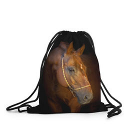 Рюкзак-мешок 3D с принтом Гнедая лошадь в Новосибирске, 100% полиэстер | плотность ткани — 200 г/м2, размер — 35 х 45 см; лямки — толстые шнурки, застежка на шнуровке, без карманов и подкладки | Тематика изображения на принте: animal | beautiful | black | brown | eyes | gloss | harness | horse | look | muzzle | взгляд | глаза | гнедой | животное | конь | коричневый | красивый | лоск | лошадь | сбруя | скакун | черный