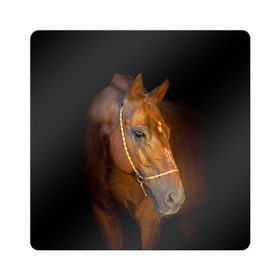 Магнит виниловый Квадрат с принтом Гнедая лошадь в Новосибирске, полимерный материал с магнитным слоем | размер 9*9 см, закругленные углы | animal | beautiful | black | brown | eyes | gloss | harness | horse | look | muzzle | взгляд | глаза | гнедой | животное | конь | коричневый | красивый | лоск | лошадь | сбруя | скакун | черный