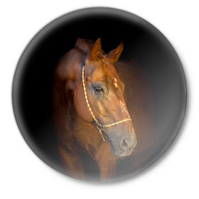 Значок с принтом Гнедая лошадь в Новосибирске,  металл | круглая форма, металлическая застежка в виде булавки | animal | beautiful | black | brown | eyes | gloss | harness | horse | look | muzzle | взгляд | глаза | гнедой | животное | конь | коричневый | красивый | лоск | лошадь | сбруя | скакун | черный