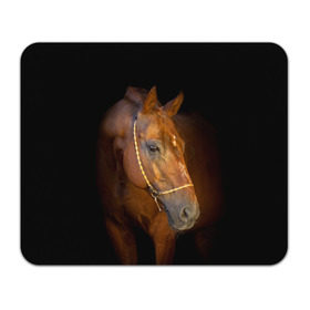 Коврик для мышки прямоугольный с принтом Гнедая лошадь в Новосибирске, натуральный каучук | размер 230 х 185 мм; запечатка лицевой стороны | Тематика изображения на принте: animal | beautiful | black | brown | eyes | gloss | harness | horse | look | muzzle | взгляд | глаза | гнедой | животное | конь | коричневый | красивый | лоск | лошадь | сбруя | скакун | черный
