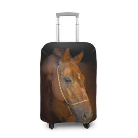 Чехол для чемодана 3D с принтом Гнедая лошадь в Новосибирске, 86% полиэфир, 14% спандекс | двустороннее нанесение принта, прорези для ручек и колес | animal | beautiful | black | brown | eyes | gloss | harness | horse | look | muzzle | взгляд | глаза | гнедой | животное | конь | коричневый | красивый | лоск | лошадь | сбруя | скакун | черный