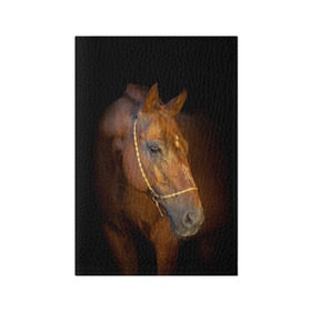 Обложка для паспорта матовая кожа с принтом Гнедая лошадь в Новосибирске, натуральная матовая кожа | размер 19,3 х 13,7 см; прозрачные пластиковые крепления | animal | beautiful | black | brown | eyes | gloss | harness | horse | look | muzzle | взгляд | глаза | гнедой | животное | конь | коричневый | красивый | лоск | лошадь | сбруя | скакун | черный