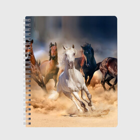 Тетрадь с принтом Табун в Новосибирске, 100% бумага | 48 листов, плотность листов — 60 г/м2, плотность картонной обложки — 250 г/м2. Листы скреплены сбоку удобной пружинной спиралью. Уголки страниц и обложки скругленные. Цвет линий — светло-серый
 | animal | beautiful | black | brown | desert | gloss | herd | horse | mane | mustang | muzzle | nature | sand | white | wild | белый | грива | дикий | животное | конь | коричневый | красивый | лоск | лошадь | мустанг | песок | природа | пусты