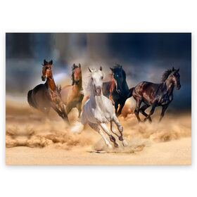 Поздравительная открытка с принтом Табун в Новосибирске, 100% бумага | плотность бумаги 280 г/м2, матовая, на обратной стороне линовка и место для марки
 | animal | beautiful | black | brown | desert | gloss | herd | horse | mane | mustang | muzzle | nature | sand | white | wild | белый | грива | дикий | животное | конь | коричневый | красивый | лоск | лошадь | мустанг | песок | природа | пусты