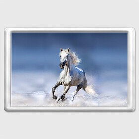 Магнит 45*70 с принтом Белая лошадь в Новосибирске, Пластик | Размер: 78*52 мм; Размер печати: 70*45 | animal | beautiful | gloss | horse | mane | mustang | muzzle | nature | snow | white | wild | winter | белый | грива | дикий | животное | зима | конь | красивый | лоск | лошадь | мустанг | природа | скакун | снег