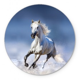 Коврик для мышки круглый с принтом Белая лошадь в Новосибирске, резина и полиэстер | круглая форма, изображение наносится на всю лицевую часть | animal | beautiful | gloss | horse | mane | mustang | muzzle | nature | snow | white | wild | winter | белый | грива | дикий | животное | зима | конь | красивый | лоск | лошадь | мустанг | природа | скакун | снег