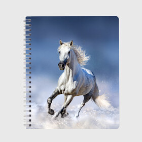 Тетрадь с принтом Белая лошадь в Новосибирске, 100% бумага | 48 листов, плотность листов — 60 г/м2, плотность картонной обложки — 250 г/м2. Листы скреплены сбоку удобной пружинной спиралью. Уголки страниц и обложки скругленные. Цвет линий — светло-серый
 | animal | beautiful | gloss | horse | mane | mustang | muzzle | nature | snow | white | wild | winter | белый | грива | дикий | животное | зима | конь | красивый | лоск | лошадь | мустанг | природа | скакун | снег