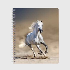 Тетрадь с принтом Белый конь в Новосибирске, 100% бумага | 48 листов, плотность листов — 60 г/м2, плотность картонной обложки — 250 г/м2. Листы скреплены сбоку удобной пружинной спиралью. Уголки страниц и обложки скругленные. Цвет линий — светло-серый
 | Тематика изображения на принте: animal | beautiful | desert | gloss | horse | mane | mustang | muzzle | nature | sand | white | wild | белый | грива | дикий | животное | конь | красивый | лоск | лошадь | мустанг | песок | природа | пустыня | скакун