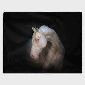Плед 3D с принтом Белая лошадь в Новосибирске, 100% полиэстер | закругленные углы, все края обработаны. Ткань не мнется и не растягивается | Тематика изображения на принте: animal | black | breed | horse | muscle | muzzle | strength | unusual | white | белый | животное | конь | лошадь | мышцы | необычный | порода | сила | скакун