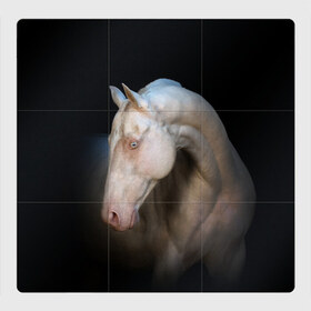 Магнитный плакат 3Х3 с принтом Белая лошадь в Новосибирске, Полимерный материал с магнитным слоем | 9 деталей размером 9*9 см | animal | black | breed | horse | muscle | muzzle | strength | unusual | white | белый | животное | конь | лошадь | мышцы | необычный | порода | сила | скакун
