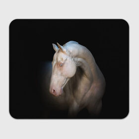 Коврик для мышки прямоугольный с принтом Белая лошадь в Новосибирске, натуральный каучук | размер 230 х 185 мм; запечатка лицевой стороны | animal | black | breed | horse | muscle | muzzle | strength | unusual | white | белый | животное | конь | лошадь | мышцы | необычный | порода | сила | скакун
