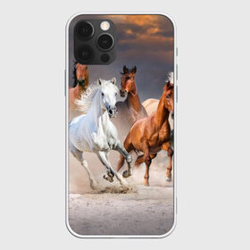Чехол для iPhone 12 Pro Max с принтом Табун в Новосибирске, Силикон |  | animal | beautiful | black | brown | desert | gloss | herd | horse | mane | mustang | muzzle | nature | sand | white | wild | белый | грива | дикий | животное | конь | коричневый | красивый | лоск | лошадь | мустанг | песок | природа | пусты