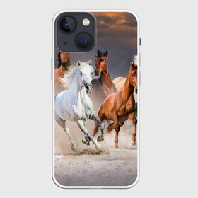 Чехол для iPhone 13 mini с принтом Табун в Новосибирске,  |  | animal | beautiful | black | brown | desert | gloss | herd | horse | mane | mustang | muzzle | nature | sand | white | wild | белый | грива | дикий | животное | конь | коричневый | красивый | лоск | лошадь | мустанг | песок | природа | пусты