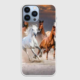 Чехол для iPhone 13 Pro Max с принтом Табун в Новосибирске,  |  | animal | beautiful | black | brown | desert | gloss | herd | horse | mane | mustang | muzzle | nature | sand | white | wild | белый | грива | дикий | животное | конь | коричневый | красивый | лоск | лошадь | мустанг | песок | природа | пусты