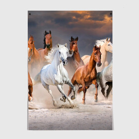 Постер с принтом Табун в Новосибирске, 100% бумага
 | бумага, плотность 150 мг. Матовая, но за счет высокого коэффициента гладкости имеет небольшой блеск и дает на свету блики, но в отличии от глянцевой бумаги не покрыта лаком | animal | beautiful | black | brown | desert | gloss | herd | horse | mane | mustang | muzzle | nature | sand | white | wild | белый | грива | дикий | животное | конь | коричневый | красивый | лоск | лошадь | мустанг | песок | природа | пусты