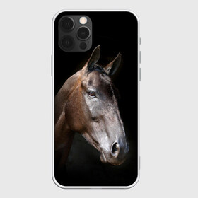 Чехол для iPhone 12 Pro Max с принтом Лошадь в Новосибирске, Силикон |  | Тематика изображения на принте: animal | beautiful | black | brown | horse | muzzle | portrait | животное | конь | коричневый | красивый | лошадь | портрет | скакун | черный