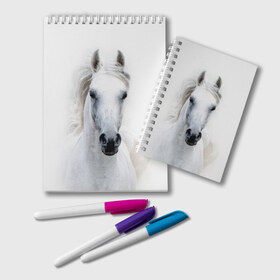 Блокнот с принтом Белая лошадь в Новосибирске, 100% бумага | 48 листов, плотность листов — 60 г/м2, плотность картонной обложки — 250 г/м2. Листы скреплены удобной пружинной спиралью. Цвет линий — светло-серый
 | Тематика изображения на принте: animal | beautiful | gloss | horse | mane | mustang | muzzle | white | wild | белый | грива | дикий | животное | конь | красивый | лоск | лошадь | мустанг | скакун