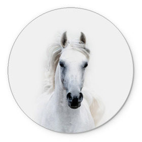 Коврик для мышки круглый с принтом Белая лошадь в Новосибирске, резина и полиэстер | круглая форма, изображение наносится на всю лицевую часть | animal | beautiful | gloss | horse | mane | mustang | muzzle | white | wild | белый | грива | дикий | животное | конь | красивый | лоск | лошадь | мустанг | скакун