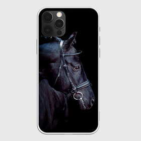 Чехол для iPhone 12 Pro Max с принтом Конь вороной в Новосибирске, Силикон |  | Тематика изображения на принте: animal | beautiful | black | eyes | gloss | hairstyle | harness | horse | look | muzzle | взгляд | вороной | глаза | животное | конь | красивый | лоск | лошадь | прическа | сбруя | скакун | черный