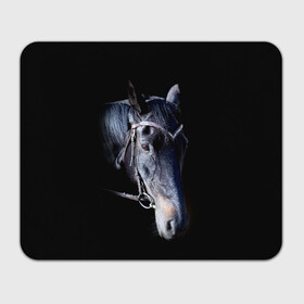 Коврик для мышки прямоугольный с принтом Конь вороной в Новосибирске, натуральный каучук | размер 230 х 185 мм; запечатка лицевой стороны | animal | beautiful | black | eyes | gloss | hairstyle | harness | horse | look | muzzle | взгляд | вороной | глаза | животное | конь | красивый | лоск | лошадь | прическа | сбруя | скакун | черный
