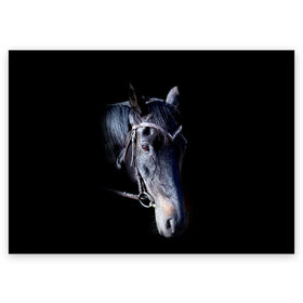 Поздравительная открытка с принтом Конь вороной в Новосибирске, 100% бумага | плотность бумаги 280 г/м2, матовая, на обратной стороне линовка и место для марки
 | Тематика изображения на принте: animal | beautiful | black | eyes | gloss | hairstyle | harness | horse | look | muzzle | взгляд | вороной | глаза | животное | конь | красивый | лоск | лошадь | прическа | сбруя | скакун | черный