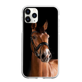 Чехол для iPhone 11 Pro Max матовый с принтом Гнедая лошадь в Новосибирске, Силикон |  | Тематика изображения на принте: animal | beautiful | black | brown | eyes | gloss | harness | horse | look | muzzle | взгляд | глаза | гнедая | животное | конь | коричневый | красивый | лоск | лошадь | сбруя | скакун | черный