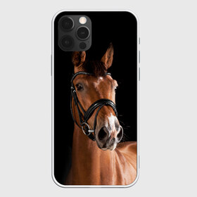 Чехол для iPhone 12 Pro Max с принтом Гнедая лошадь в Новосибирске, Силикон |  | Тематика изображения на принте: animal | beautiful | black | brown | eyes | gloss | harness | horse | look | muzzle | взгляд | глаза | гнедая | животное | конь | коричневый | красивый | лоск | лошадь | сбруя | скакун | черный