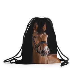 Рюкзак-мешок 3D с принтом Гнедая лошадь в Новосибирске, 100% полиэстер | плотность ткани — 200 г/м2, размер — 35 х 45 см; лямки — толстые шнурки, застежка на шнуровке, без карманов и подкладки | animal | beautiful | black | brown | eyes | gloss | harness | horse | look | muzzle | взгляд | глаза | гнедая | животное | конь | коричневый | красивый | лоск | лошадь | сбруя | скакун | черный