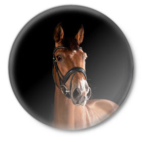 Значок с принтом Гнедая лошадь в Новосибирске,  металл | круглая форма, металлическая застежка в виде булавки | animal | beautiful | black | brown | eyes | gloss | harness | horse | look | muzzle | взгляд | глаза | гнедая | животное | конь | коричневый | красивый | лоск | лошадь | сбруя | скакун | черный