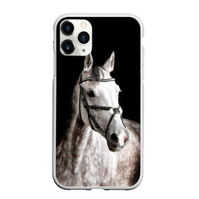 Чехол для iPhone 11 Pro матовый с принтом Серный в яблоках конь в Новосибирске, Силикон |  | animal | beautiful | black | eyes | gloss | harness | horse | look | muzzle | spotted | white | белый | в яблоках | взгляд | глаза | животное | конь | красивый | лоск | лошадь | пятнистый | сбруя | серый | скакун | черный