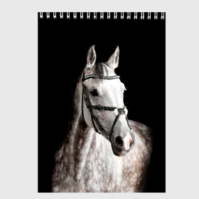 Скетчбук с принтом Серный в яблоках конь в Новосибирске, 100% бумага
 | 48 листов, плотность листов — 100 г/м2, плотность картонной обложки — 250 г/м2. Листы скреплены сверху удобной пружинной спиралью | Тематика изображения на принте: animal | beautiful | black | eyes | gloss | harness | horse | look | muzzle | spotted | white | белый | в яблоках | взгляд | глаза | животное | конь | красивый | лоск | лошадь | пятнистый | сбруя | серый | скакун | черный
