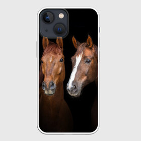 Чехол для iPhone 13 mini с принтом Лошади гнедые в Новосибирске,  |  | animal | beautiful | black | brown | coffee | couple | eyes | gloss | horse | look | muzzle | взгляд | глаза | гнедые | животное | конь | коричневый | кофейный | красивый | лоск | лошади | пара | скакун | черный