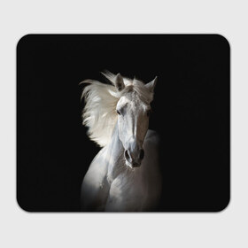 Коврик для мышки прямоугольный с принтом Белая лошадь в Новосибирске, натуральный каучук | размер 230 х 185 мм; запечатка лицевой стороны | animal | beautiful | black | eyes | gloss | grace | harness | horse | look | mane | muzzle | strength | white | белая | взгляд | глаза | грация | грива | животное | конь | красивый | лоск | лошадь | сбруя | сила | скакун