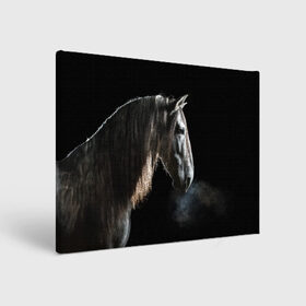 Холст прямоугольный с принтом Серный в яблоках конь в Новосибирске, 100% ПВХ |  | animal | beautiful | black | eyes | gloss | harness | horse | look | muzzle | portrait | в яблоках | взгляд | глаза | животное | конь | красивый | лоск | лошадь | портрет | сбруя | серый | скакун