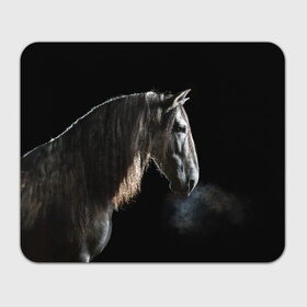 Коврик для мышки прямоугольный с принтом Серный в яблоках конь в Новосибирске, натуральный каучук | размер 230 х 185 мм; запечатка лицевой стороны | Тематика изображения на принте: animal | beautiful | black | eyes | gloss | harness | horse | look | muzzle | portrait | в яблоках | взгляд | глаза | животное | конь | красивый | лоск | лошадь | портрет | сбруя | серый | скакун
