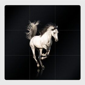 Магнитный плакат 3Х3 с принтом Серный в яблоках конь в Новосибирске, Полимерный материал с магнитным слоем | 9 деталей размером 9*9 см | Тематика изображения на принте: animal | beautiful | black | gloss | horse | mane | mustang | muzzle | white | wild | белый | в яблоках | грива | дикий | животное | конь | красивый | лоск | лошадь | мустанг | серый | скакун | черный