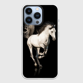 Чехол для iPhone 13 Pro с принтом Серный в яблоках конь в Новосибирске,  |  | animal | beautiful | black | gloss | horse | mane | mustang | muzzle | white | wild | белый | в яблоках | грива | дикий | животное | конь | красивый | лоск | лошадь | мустанг | серый | скакун | черный