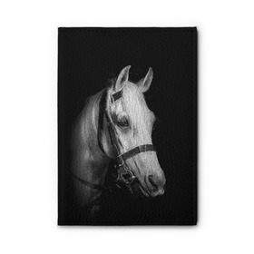Обложка для автодокументов с принтом Белая лошадь в Новосибирске, натуральная кожа |  размер 19,9*13 см; внутри 4 больших “конверта” для документов и один маленький отдел — туда идеально встанут права | Тематика изображения на принте: animal | beautiful | black | eyes | gloss | harness | horse | look | muzzle | white | белый | взгляд | глаза | животное | конь | красивый | лоск | лошадь | сбруя | скакун