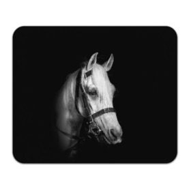 Коврик для мышки прямоугольный с принтом Белая лошадь в Новосибирске, натуральный каучук | размер 230 х 185 мм; запечатка лицевой стороны | animal | beautiful | black | eyes | gloss | harness | horse | look | muzzle | white | белый | взгляд | глаза | животное | конь | красивый | лоск | лошадь | сбруя | скакун