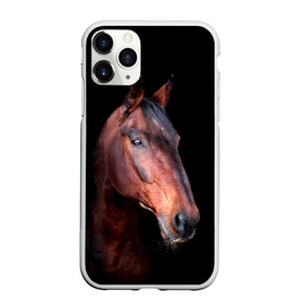 Чехол для iPhone 11 Pro матовый с принтом Гнедая лошадь в Новосибирске, Силикон |  | Тематика изображения на принте: animal | beautiful | black | brown | chocolate | eyes | gloss | horse | look | muzzle | portrait | взгляд | глаза | животное | конь | коричневый | красивый | лоск | лошадь | портрет | скакун | черный | шоколадный