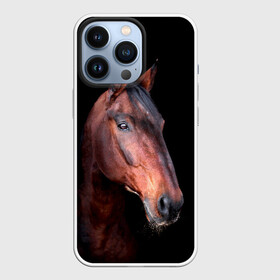 Чехол для iPhone 13 Pro с принтом Гнедая лошадь в Новосибирске,  |  | animal | beautiful | black | brown | chocolate | eyes | gloss | horse | look | muzzle | portrait | взгляд | глаза | животное | конь | коричневый | красивый | лоск | лошадь | портрет | скакун | черный | шоколадный