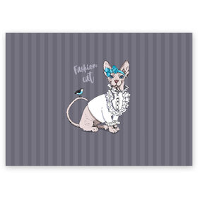 Поздравительная открытка с принтом Fashion cat в Новосибирске, 100% бумага | плотность бумаги 280 г/м2, матовая, на обратной стороне линовка и место для марки
 | bird | bow | breed | cat | glamor | look | muzzle | sphinx | style | tail | бант | взгляд | гламур | кошка | порода | птица | стиль | сфинкс | хвост