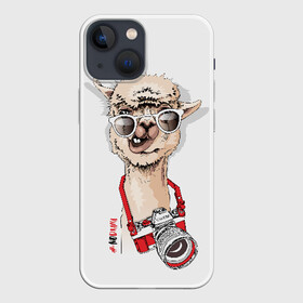Чехол для iPhone 13 mini с принтом NoDrama в Новосибирске,  |  | alpaca | animal | camera | cool | drama | hashtag | head | inscription | llama | look | nodrama | photographer | альпака | взгляд | голова | драма | животное | камера | лама | надпись | очки | прикольный | фотоаппарат | фотограф | хэштег