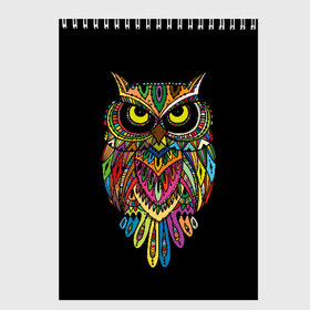 Скетчбук с принтом Сова в Новосибирске, 100% бумага
 | 48 листов, плотность листов — 100 г/м2, плотность картонной обложки — 250 г/м2. Листы скреплены сверху удобной пружинной спиралью | art | background | big | bird | black | drawing | eyes | multicolored | owl | sight | symbol | wisdom | большие | взгляд | глаза | искусство | мудрость | птица | разноцветный | рисунок | символ | сова | филин | фон | черный