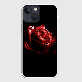 Чехол для iPhone 13 mini с принтом Кровавая роза в Новосибирске,  |  | брызги | кровавая роза | кровь | роза | цветы