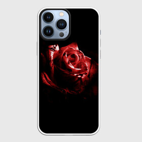 Чехол для iPhone 13 Pro Max с принтом Кровавая роза в Новосибирске,  |  | брызги | кровавая роза | кровь | роза | цветы
