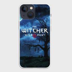 Чехол для iPhone 13 mini с принтом THE WITCHER 3:WILD HUNT в Новосибирске,  |  | cd projekt red | ciri | game | geralt | geralt of rivia | gwynbleidd | the witcher | the witcher 3: wild hunt | ведьмак | ведьмак 3: дикая охота | геральт | геральт из ривии | цири | цирилла