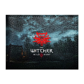 Обложка для студенческого билета с принтом THE WITCHER 3:WILD HUNT в Новосибирске, натуральная кожа | Размер: 11*8 см; Печать на всей внешней стороне | cd projekt red | ciri | game | geralt | geralt of rivia | gwynbleidd | the witcher | the witcher 3: wild hunt | ведьмак | ведьмак 3: дикая охота | геральт | геральт из ривии | цири | цирилла