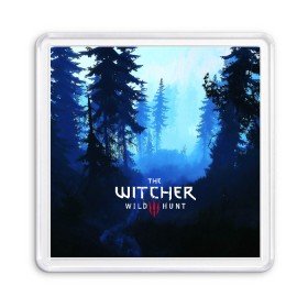 Магнит 55*55 с принтом THE WITCHER 3:WILD HUNT в Новосибирске, Пластик | Размер: 65*65 мм; Размер печати: 55*55 мм | cd projekt red | ciri | game | geralt | geralt of rivia | gwynbleidd | the witcher | the witcher 3: wild hunt | ведьмак | ведьмак 3: дикая охота | геральт | геральт из ривии | цири | цирилла